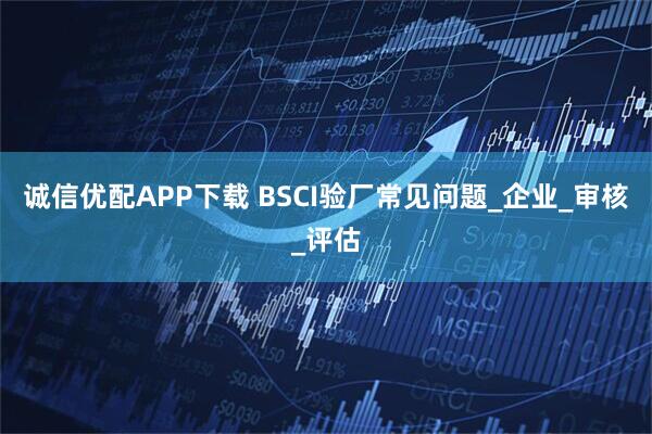 诚信优配APP下载 BSCI验厂常见问题_企业_审核_评估