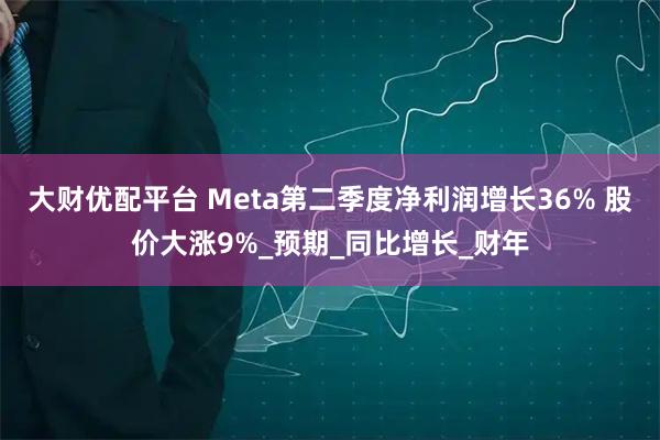大财优配平台 Meta第二季度净利润增长36% 股价大涨9%_预期_同比增长_财年