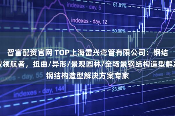 智富配资官网 TOP上海雷兴弯管有限公司：钢结构艺术造型领航者，扭曲/异形/景观园林/全场景钢结构造型解决方案专家