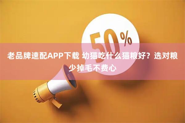 老品牌速配APP下载 幼猫吃什么猫粮好？选对粮少掉毛不费心