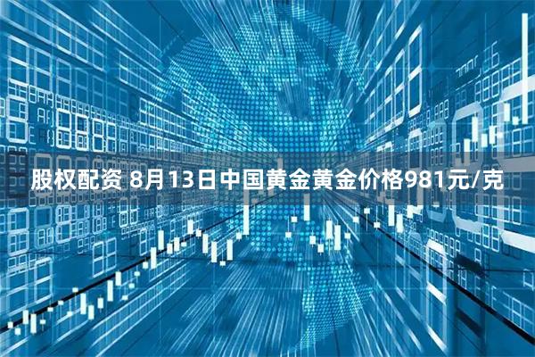 股权配资 8月13日中国黄金黄金价格981元/克